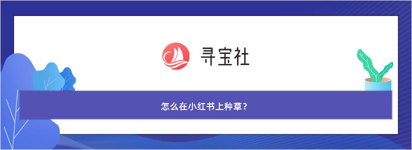 怎么在小红书上种草？
