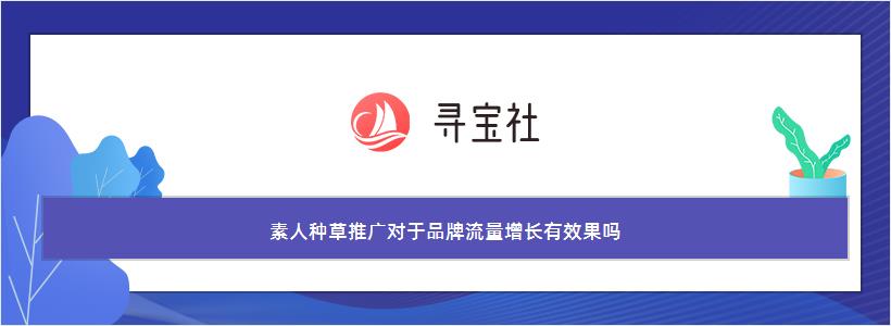 素人种草推广对于品牌流量增长有效果吗