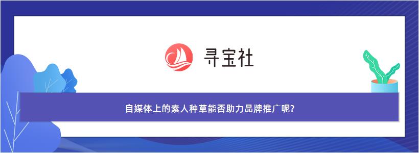 自媒体上的素人种草能否助力品牌推广呢?