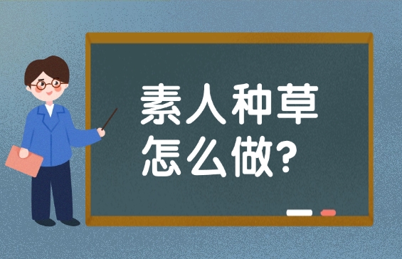素人种草