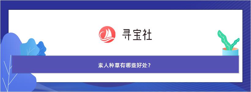 素人种草有哪些好处？