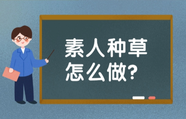 素人种草